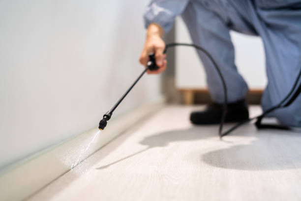Licensed Rodent Control service in Marion County County, MS - Nex Pest Control