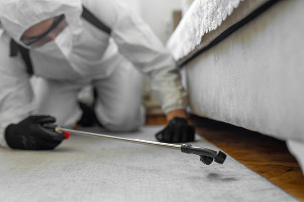 Professional Rodent Control technician working in Marion County County, MS